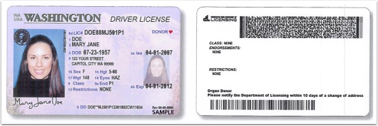Driver's License Sample