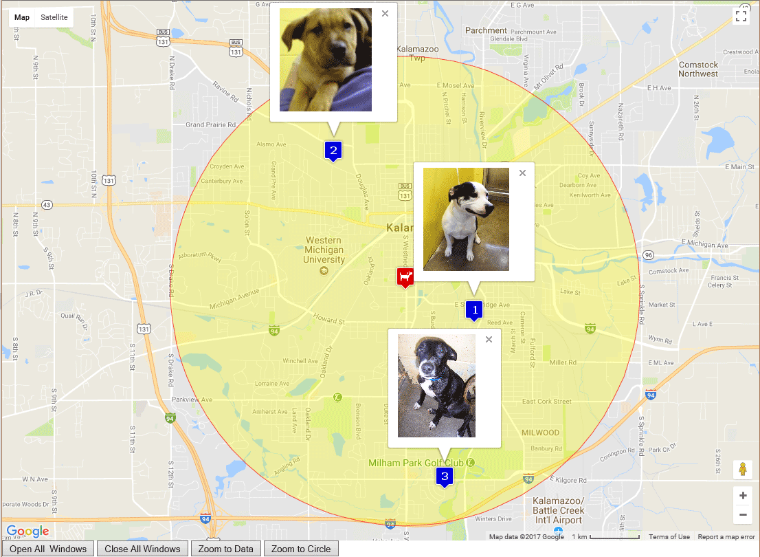 Lost Animals - Proximity Map